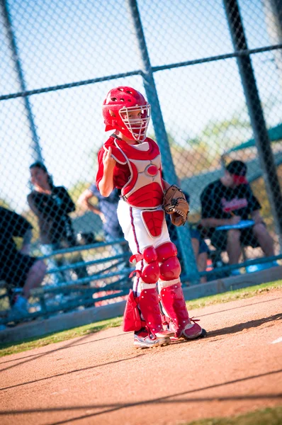 Little league baseball catcher — Stock Photo, Image