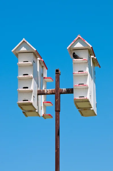 Plusieurs maisons d'oiseaux blancs — Photo