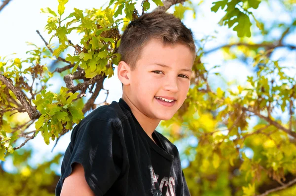 Young boy up in the tree — Stock Photo, Image