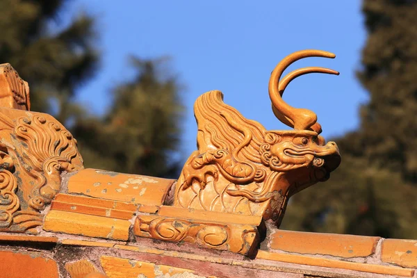 Dragon on roof — Stock Photo, Image