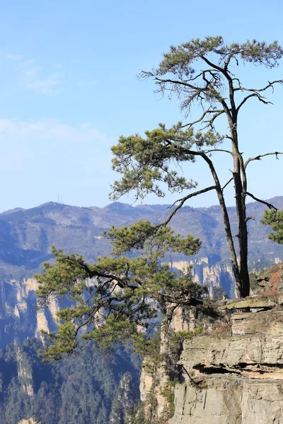 Paisaje de montañas —  Fotos de Stock