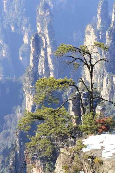 Dağ manzarası — Stok fotoğraf