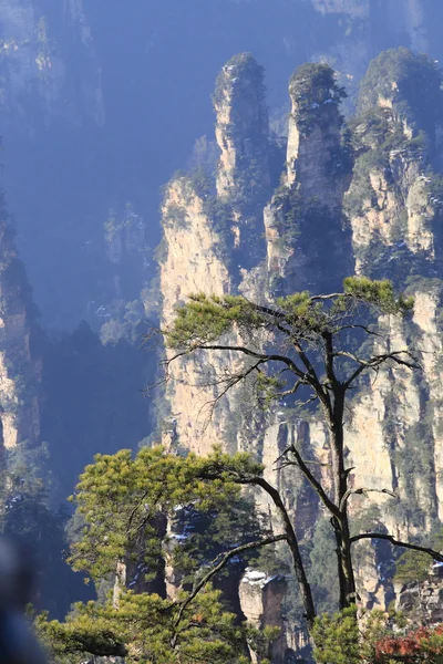 Paesaggio di montagne — Foto Stock