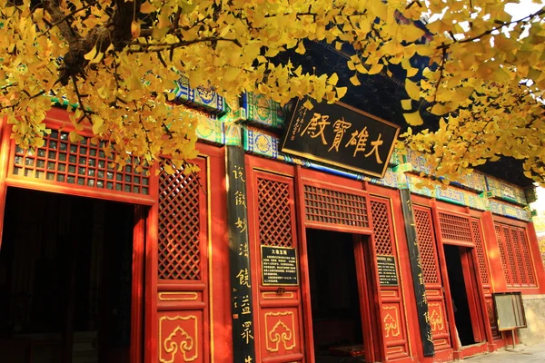 Gloden bladeren en chinese tempel — Stockfoto