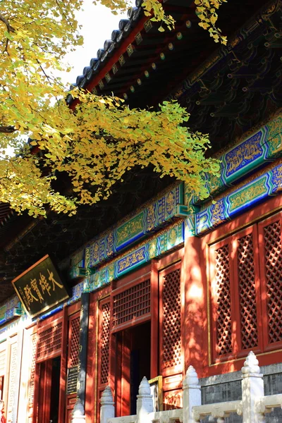 Zlatého listí a čínský chrám — Stock fotografie
