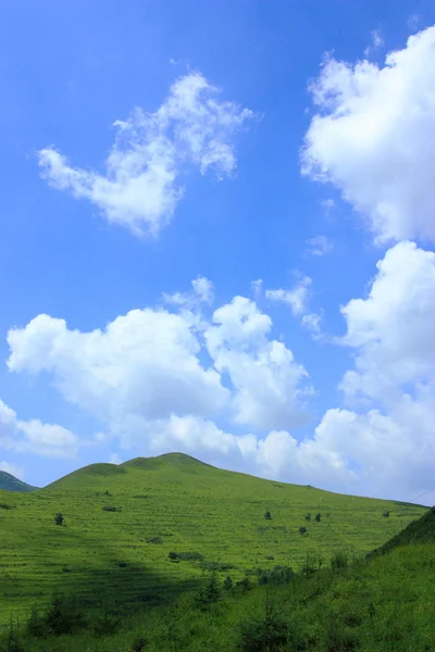 草原的风景 — 图库照片