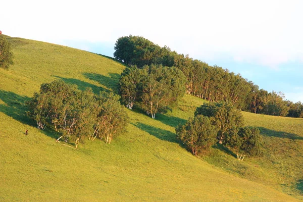 草原的风景 — 图库照片