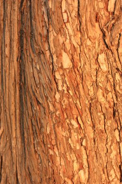 Soyut renkli arkaplan