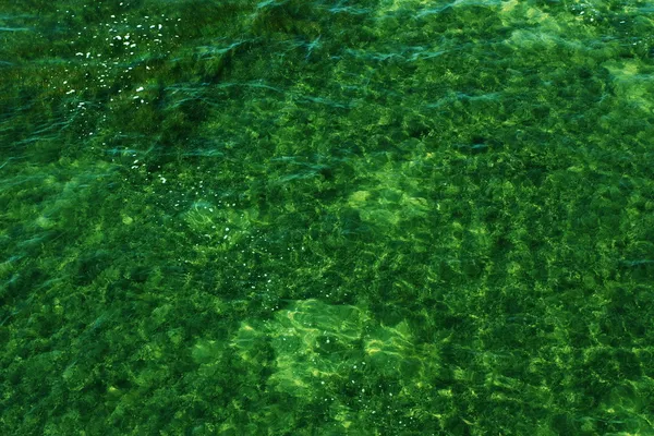 Abstrakter Hintergrund von grünem Wasser — Stockfoto