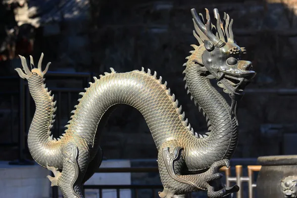 Dragon — Stock Photo, Image