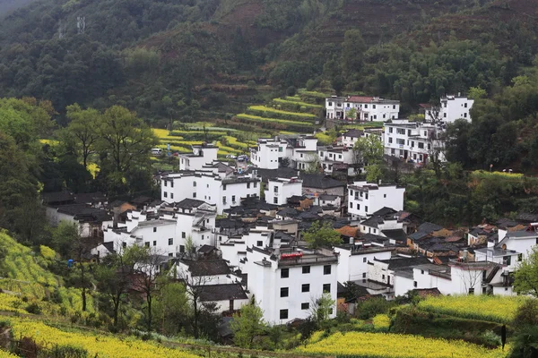 Chinese dorp in het voorjaar van — Stockfoto