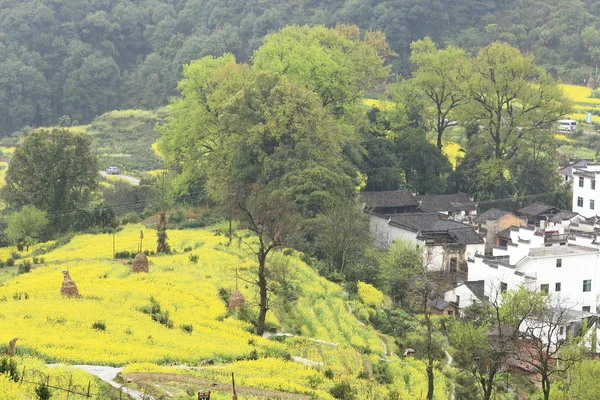 Chiński wieś na wiosnę — Zdjęcie stockowe