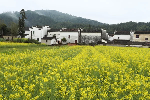 Chinese village in spring — Stock Photo, Image