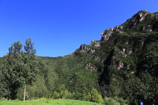 Paesaggio di montagna — Foto Stock