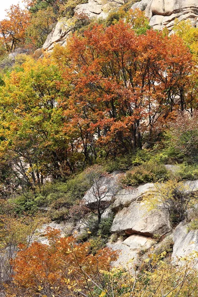 Mountain at autumn — Stock Photo, Image