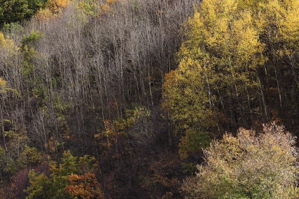 Mountain at autumn — Stock Photo, Image