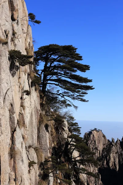 Paisaje de montañas —  Fotos de Stock