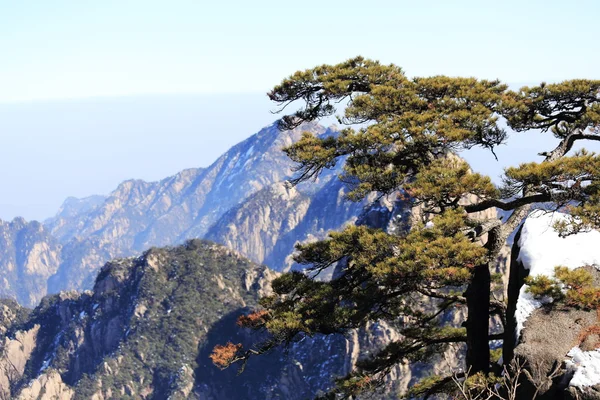 Landscape of mountains Stock Photo