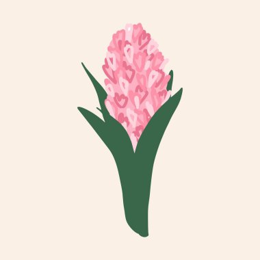 Beyaz arka planda pembe sümbül. Düz tasarım, el çizimi karikatür, vektör çizimi.