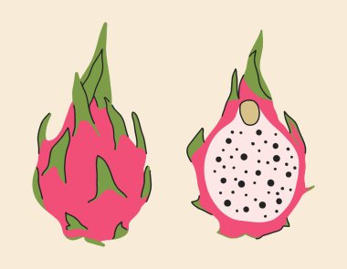 Ejderha meyvesi, tam meyve ve yarısı, tropikal meyve. Vektör illüstrasyonu beyaz arkaplanda izole edildi.