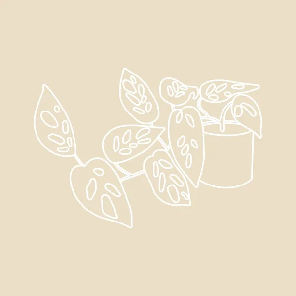 Continuous one line drawing of a flower in a pot. Beautiful houseplant, sketch. Vector illustration. — ストックベクタ