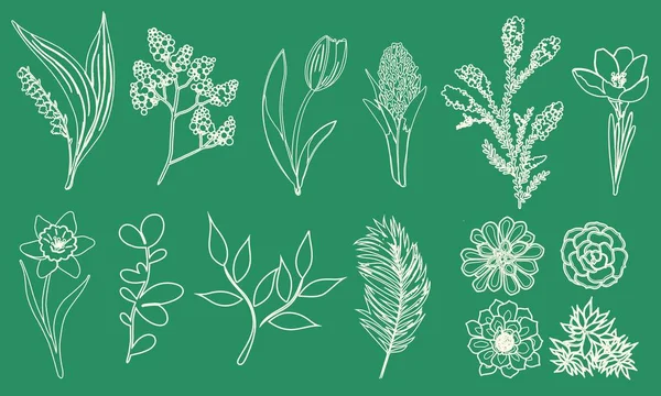 Set of plants, flowers and succulents, hand drawn line, white outline on a green background. Hand drawing, cartoon.