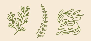 Bitkilerin aralıksız çizimleri. Güzel çiçekler izole, düz tasarım, çizgi film tarzı, vektör illüstrasyonu.