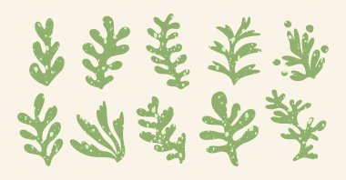 Egzotik orman yaprakları, çiçekler ve bitkiler. Soyut modern trend vektör çizimi. Posterler, instagram yazıları ve çıkartmalar için mükemmel..