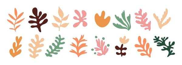 Conjunto Folhas Selva Exóticas Desenhadas Mão Flores Plantas Abstract Moderna — Vetor de Stock