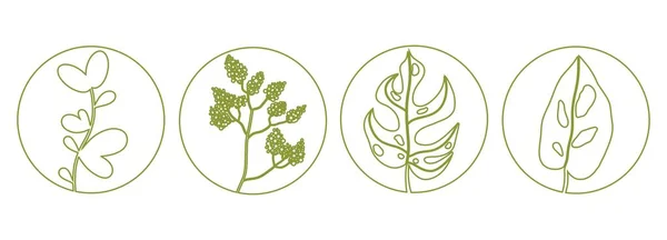 Set Wild Plants Logos Emblem Flower Circle Floral Decoration Organic — Stock Vector