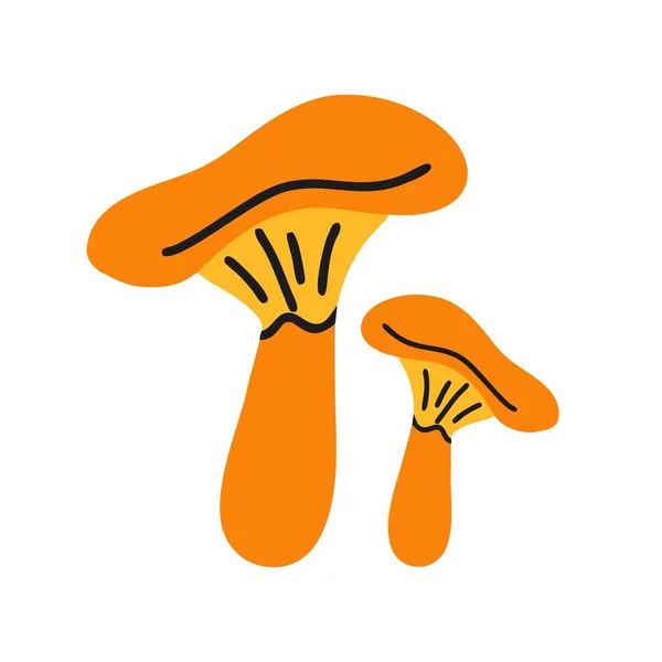 Chanterelle Mushrooms Flat Style Edible Mushroom Vector Illustration Isolated White — Wektor stockowy