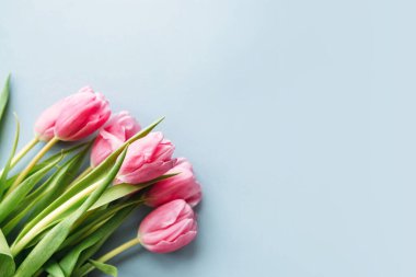 Açık mavi arka planda pembe lale demeti