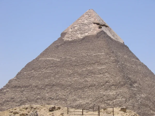 Horus fliegt in der Nähe der Pyramide — Stockfoto