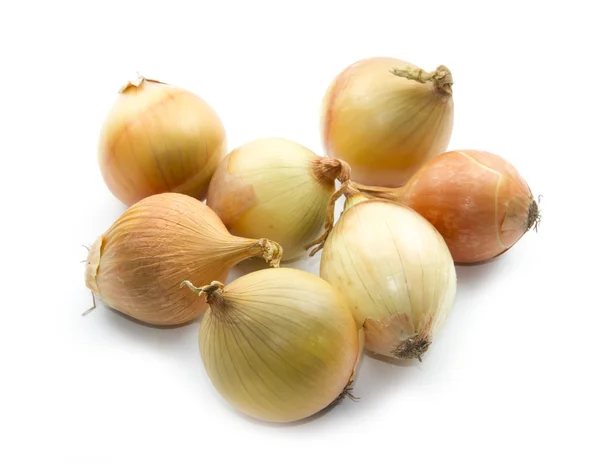 Organic onion — Stock Photo, Image