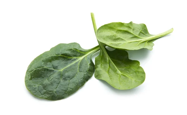 Spinach — Stock Photo, Image