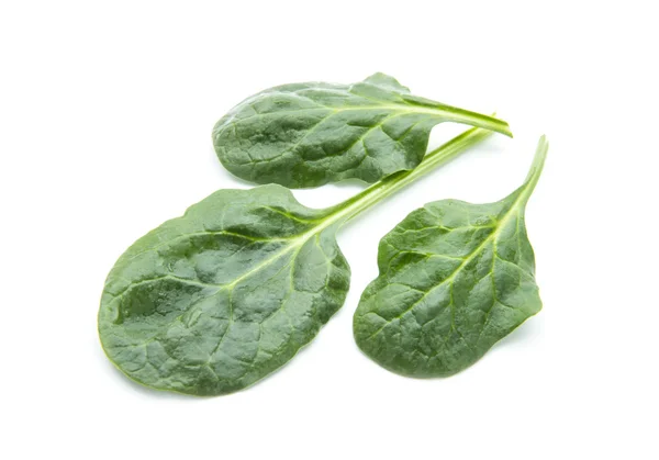 Spinach — Stock Photo, Image