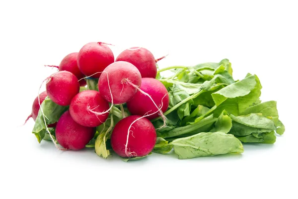 Radish — Stock Photo, Image