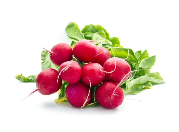 Radish — Stock Photo, Image