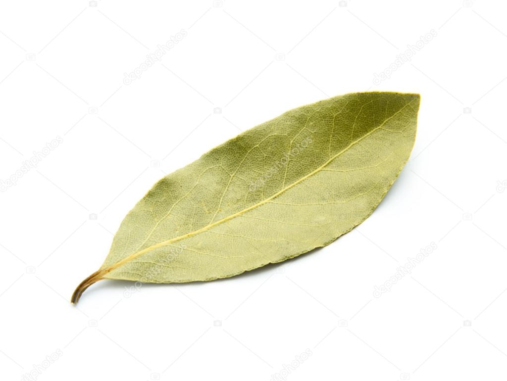 bay leaf