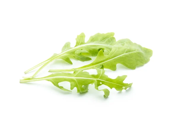 Rucola — Stockfoto