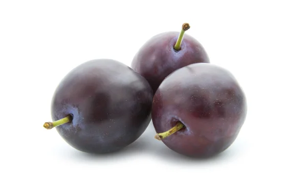 Plum — Stock Photo, Image