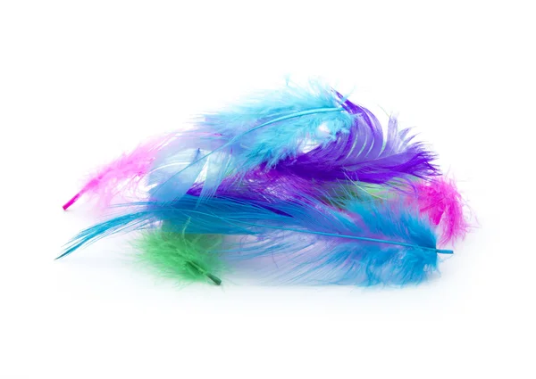 Feathers — Stock Photo, Image