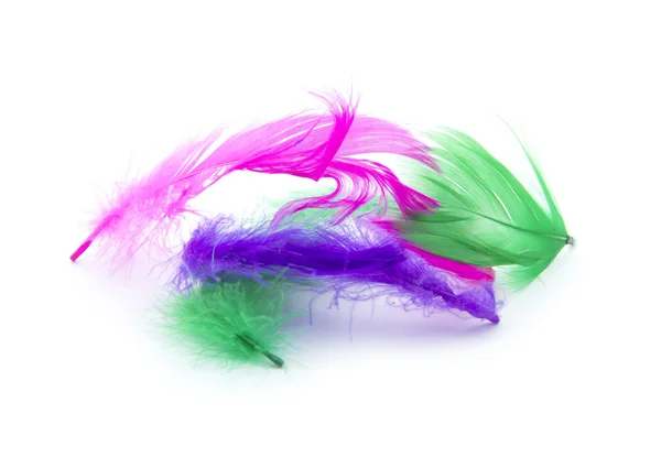 Feathers — Stock Photo, Image