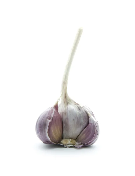 Garlic — Stock Photo, Image