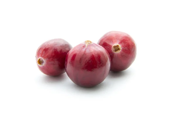 Cranberries — Stock Photo, Image