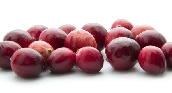 Cranberries — Stock Photo, Image