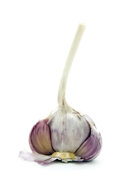 Garlic — Stock Photo, Image