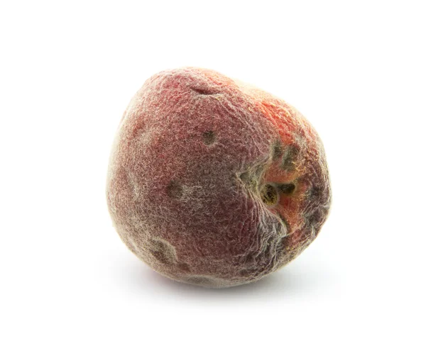 Rotten peach — Stock Photo, Image