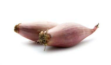 arpacık