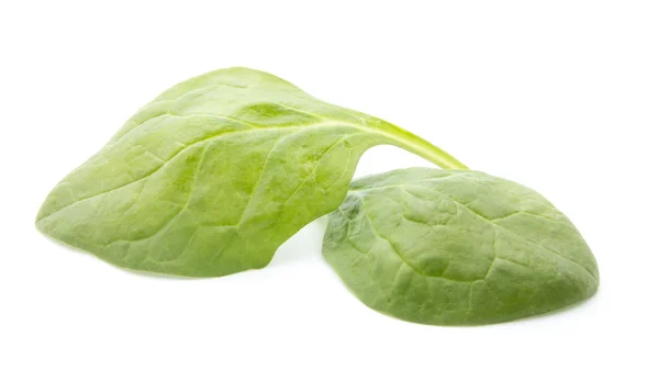 Spinach — Stock Photo, Image